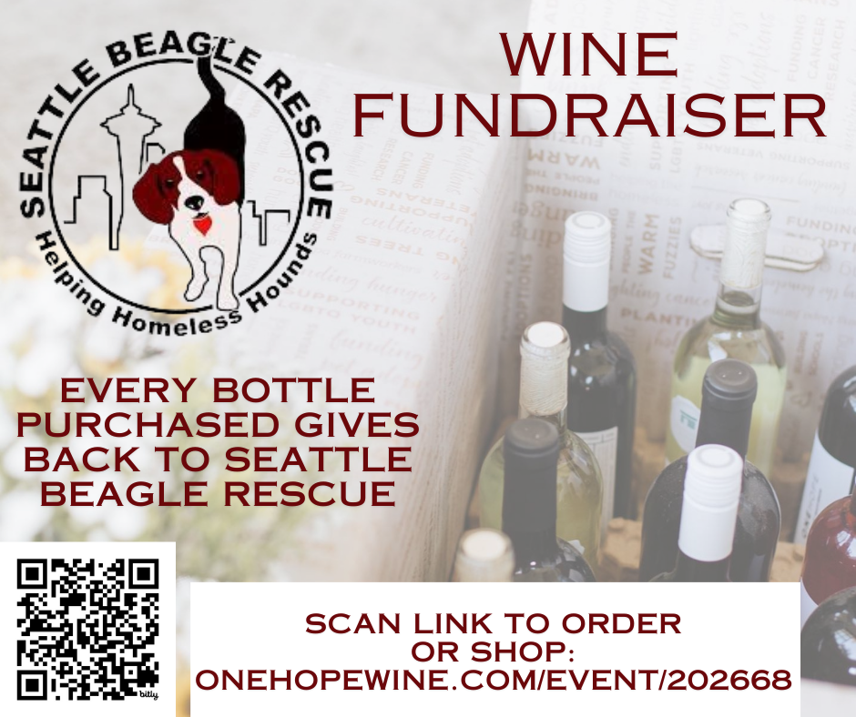 Wine Fundraiser