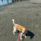 Gus