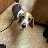 Buster_1